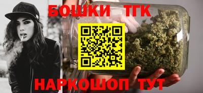индика Гусиноозёрск