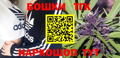 индика Гусиноозёрск
