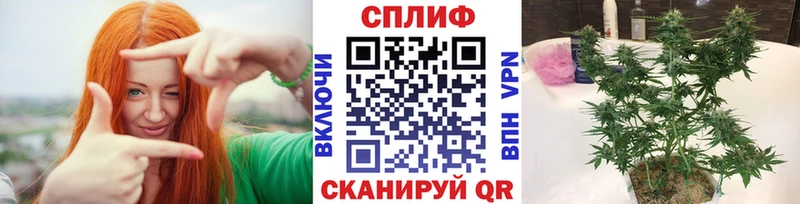 МАРИХУАНА OG Kush  Шали 