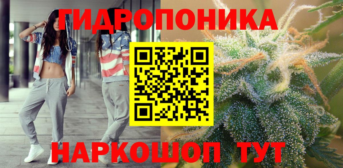 Шали  Канабис планчик  Вход с VPN  Бошки марихуана ГИДРОПОН  Каннабис гибрид 